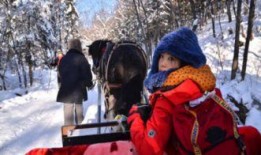 哈尔滨徒步爆料事件视频,真相与争议交织的徒步之旅